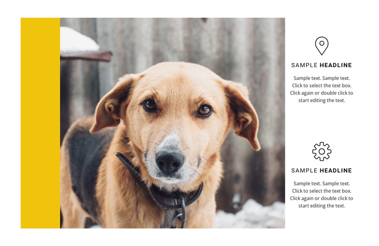 Animal shelter Template