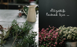 Moda Ve Güzellik Trendleri - HTML Şablon Kodu