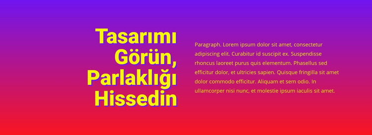 Tasarımın parladığını görün Web Sitesi Şablonu