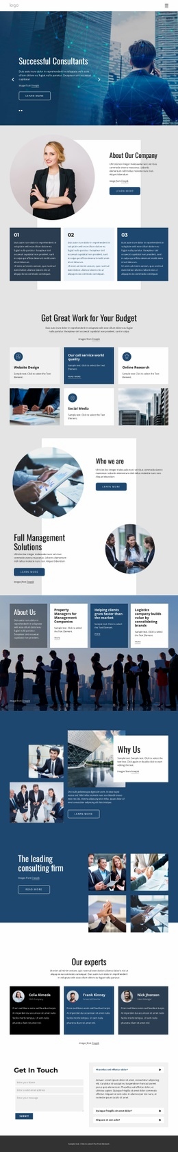 The leading consulting firm - Html Code Example by Nicepage