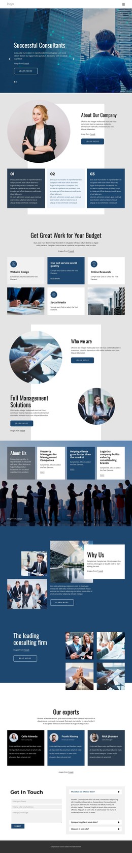 Executive Html Design Examples The leading consulting firm - HTML Template by Nicepage