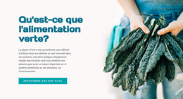 Écologie Verte Manger - Modèle De Page Web