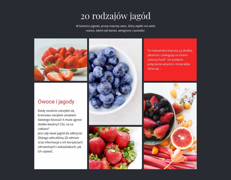 Owoce i jagody Makieta strony internetowej