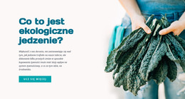 Zielone Jedzenie Ekologii