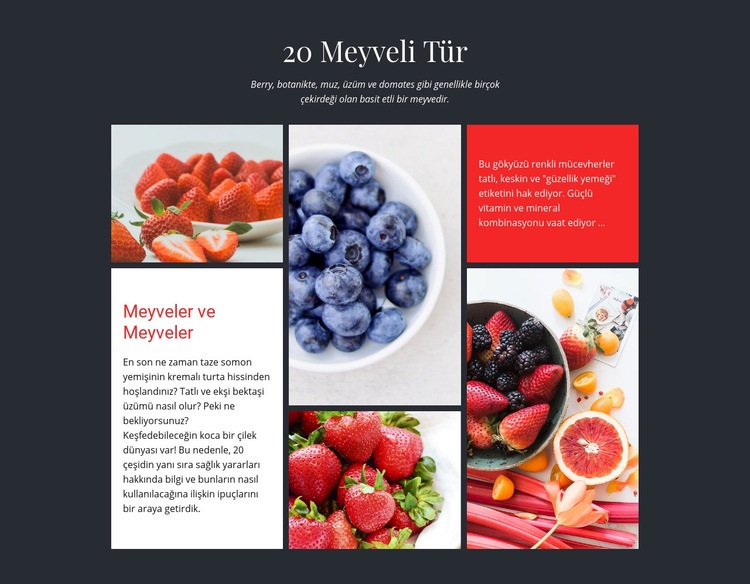 Meyveler ve meyveler Web sitesi tasarımı
