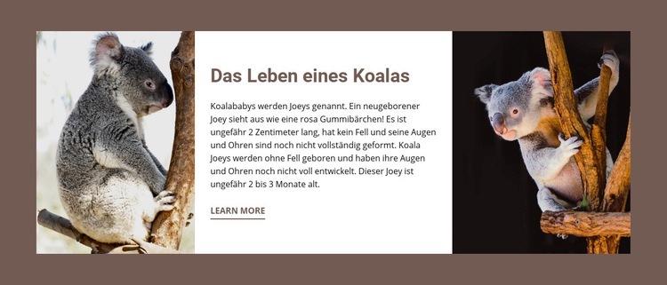 Das Leben eines Koalas HTML5-Vorlage