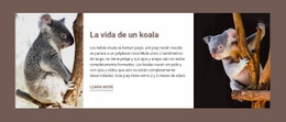 La Vida De Un Koala - HTML Site Builder