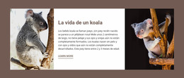 La Vida De Un Koala - Plantilla De Comercio Electrónico Joomla