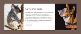 Page HTML Pour La Vie D'Un Koala