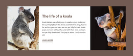 The Life Of A Koala - Free Website Template