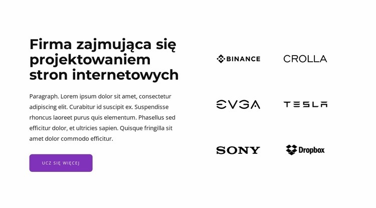 Skuteczne i angażujące witryny e-commerce Projekt strony internetowej