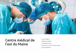 CSS Gratuit Pour Centre Médical