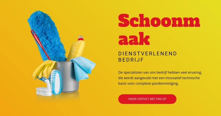 Flexibele schoonmaakplannen CSS-sjabloon