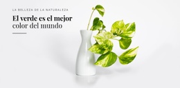 Psicología Del Color Verde - Inspiración Para El Diseño De Sitios Web