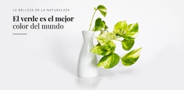 Herramienta De Maquetación De Sitio Web Para Psicología Del Color Verde