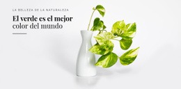 Psicología Del Color Verde: Plantilla Adaptable HTML5