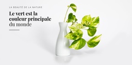 Psychologie De La Couleur Verte – Modèle Premium