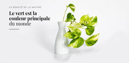 Psychologie De La Couleur Verte - Modèle De Création De Site Web