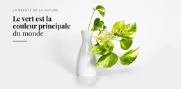 Variations Du Thème Bootstrap Pour Psychologie De La Couleur Verte