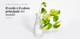 Psicologia Del Colore Verde - Ispirazione Per Il Design Del Sito Web