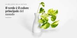 Psicologia Del Colore Verde Modello HTML5