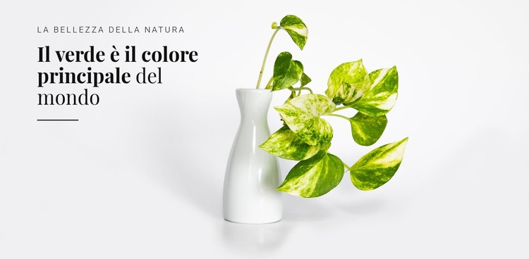 Psicologia del colore verde Modello CSS