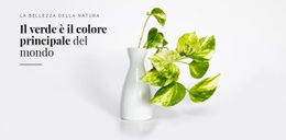 Psicologia Del Colore Verde - Modello Reattivo HTML5