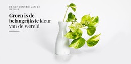 Prachtig Webontwerp Voor Psychologie Van De Kleur Groen
