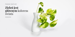 Psychologia Koloru Zielonego #Templates-Pl-Seo-One-Item-Suffix