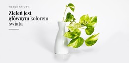 Psychologia Koloru Zielonego Szablon HTML5