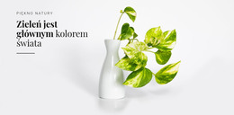 Psychologia Koloru Zielonego #Html-Templates-Pl-Seo-One-Item-Suffix