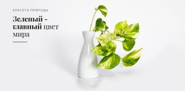 Психология Зеленого Цвета – Премиум-Шаблон