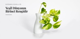 Yeşil Rengin Psikolojisi - Premium Şablon