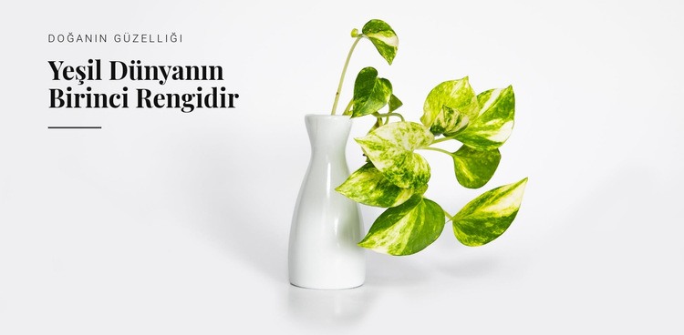 Yeşil rengin psikolojisi Web Sitesi Mockup'ı