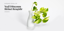 Yeşil Rengin Psikolojisi - Premium WordPress Teması