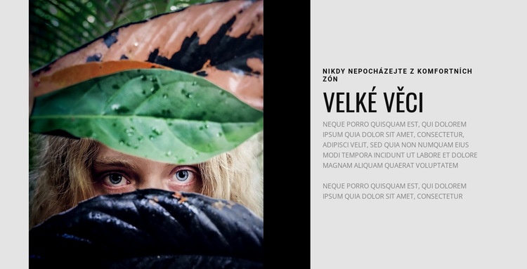 Nikdy nepřicházejte z pohodlí Téma WordPress