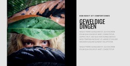 Kom Nooit Uit Comfort #Html-Templates-Nl-Seo-One-Item-Suffix