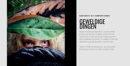 Kom Nooit Uit Comfort