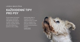 Každodenní Tipy Pro Psy – Kód Šablony HTML