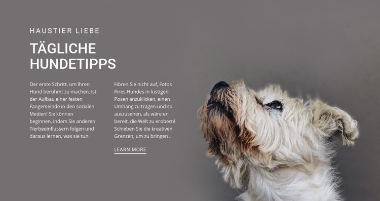 Tägliche Hundetipps Website-Modell