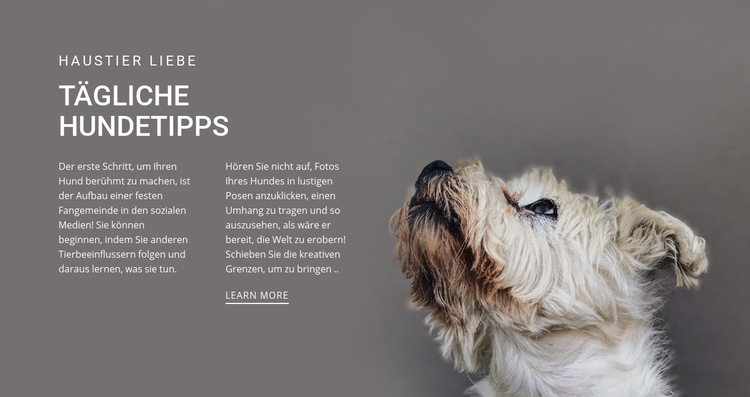 Tägliche Hundetipps Website-Vorlage