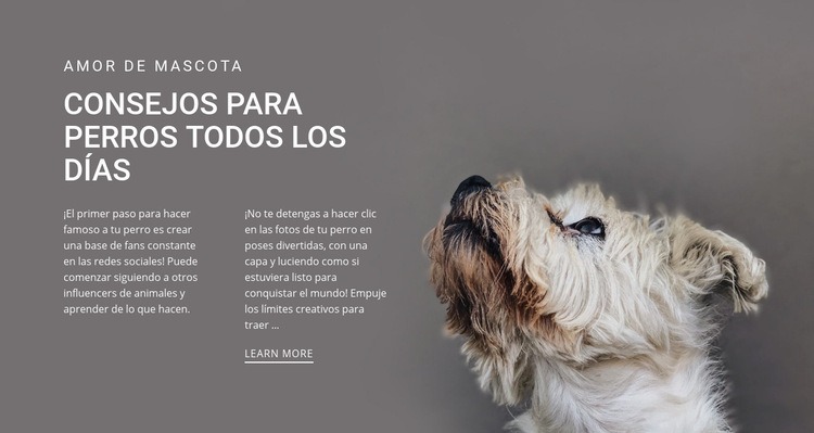 Consejos para perros todos los días Creador de sitios web HTML