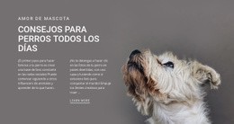 Diseño De Sitio Web Multipropósito Para Consejos Para Perros Todos Los Días