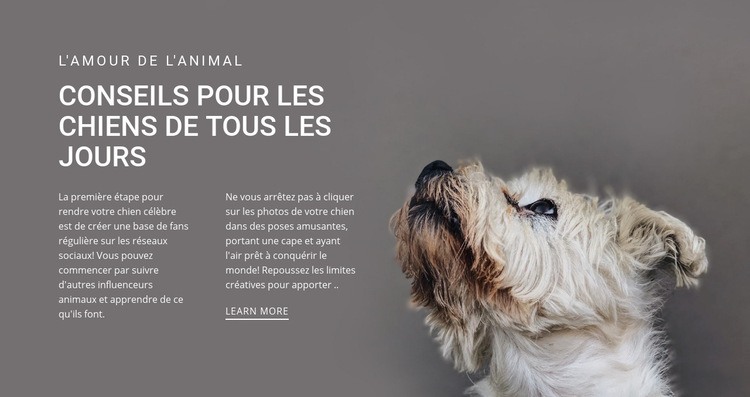 Conseils de chien au quotidien Conception de site Web