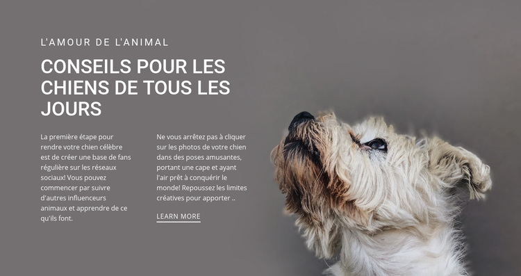 Conseils de chien au quotidien Thème WordPress