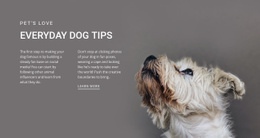 Everyday Dog Tips Free Website