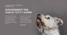 Progettazione Di Siti Web Multiuso Per Suggerimenti Per Cani Di Tutti I Giorni