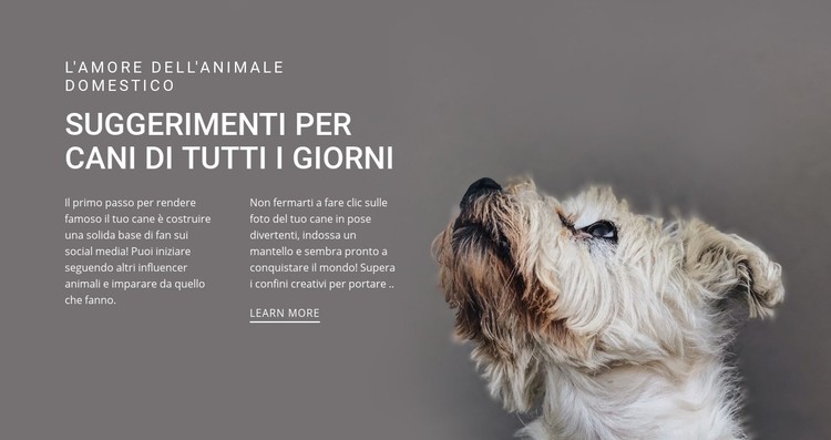 Suggerimenti per cani di tutti i giorni Modello CSS