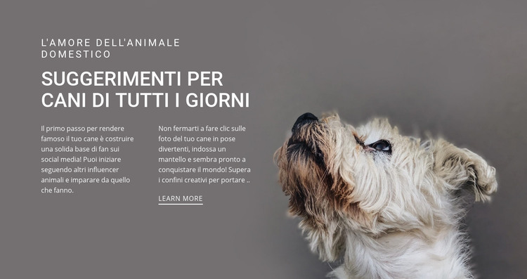 Suggerimenti per cani di tutti i giorni Modello HTML