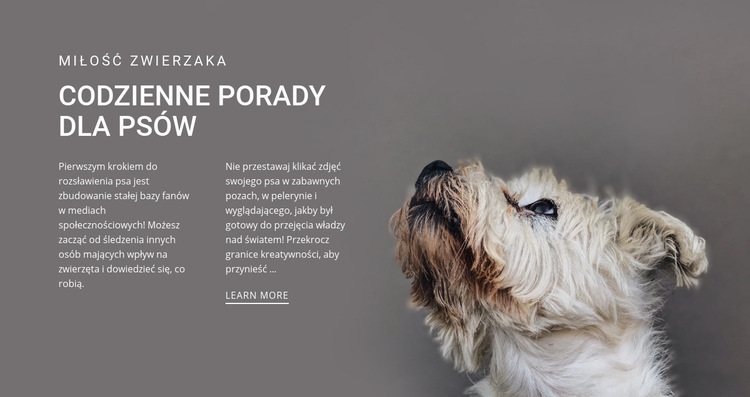 Codzienne wskazówki dla psów Szablony do tworzenia witryn internetowych